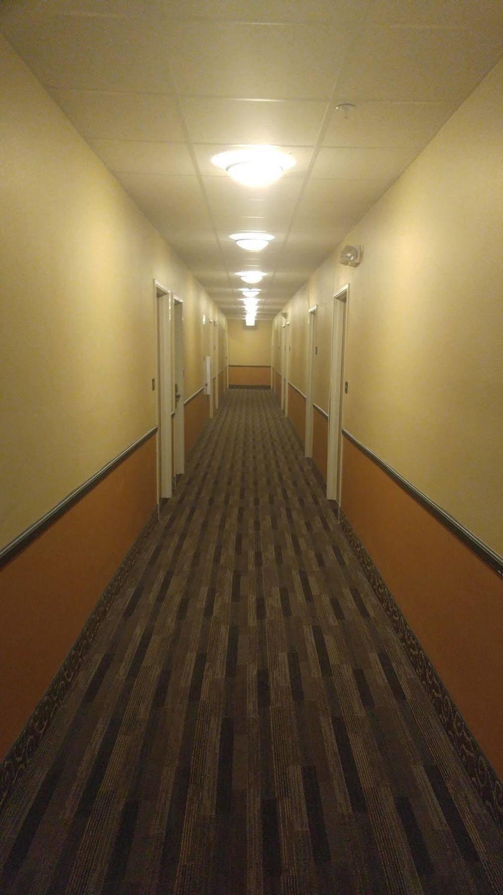 Quality Inn & Suites Lakewood - Denver Southwest Extérieur photo